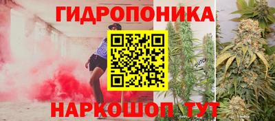 прущие грибы Апрелевка